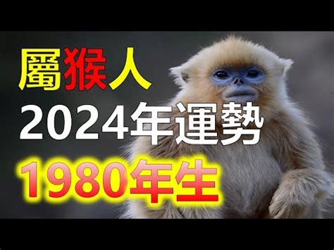 1980 屬猴|【1980猴】1980猴命運解讀！五行屬性與2023年運勢全攻略